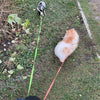 Reflective Retractable Dual Dog Leash